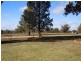 339 Pine Hill Road, Narrandera NSW 2700