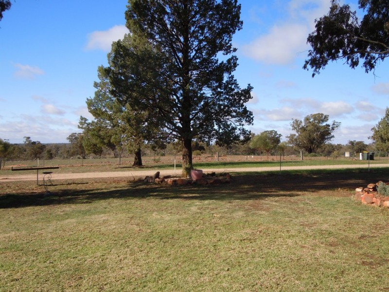 339 Pine Hill Road, Narrandera NSW 2700