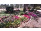 339 Pine Hill Road, Narrandera NSW 2700