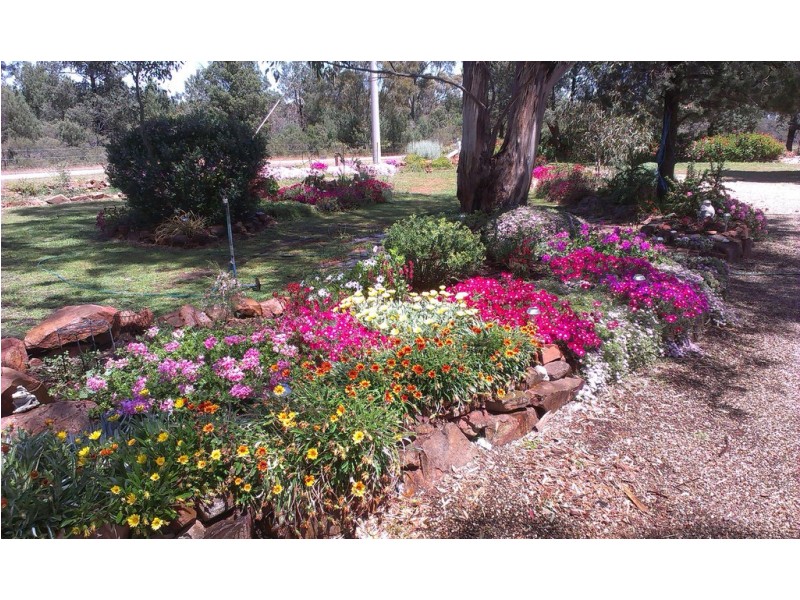 339 Pine Hill Road, Narrandera NSW 2700