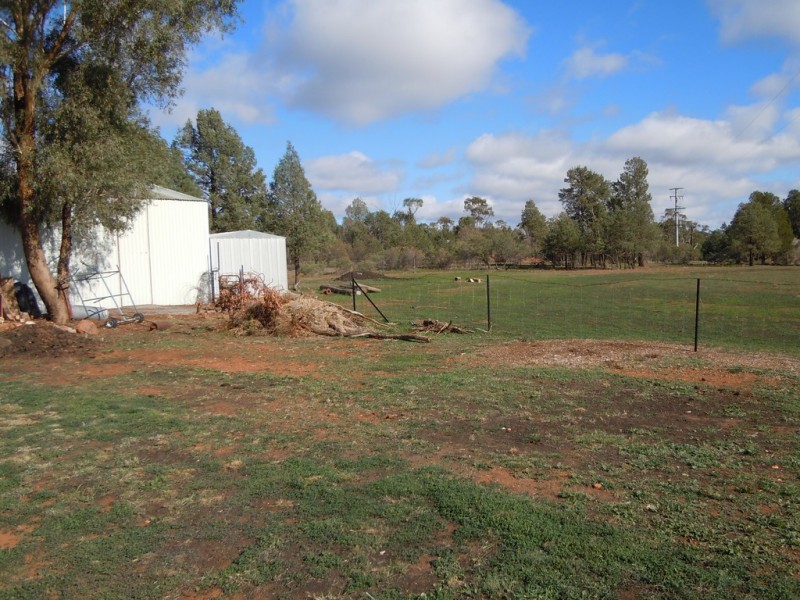 339 Pine Hill Road, Narrandera NSW 2700