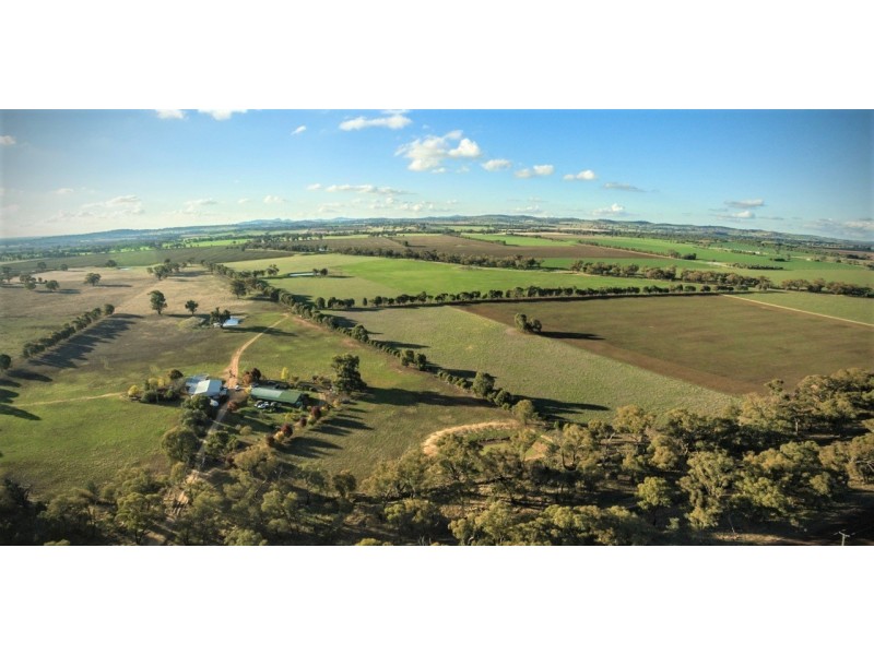 ‘Tallowood’ 231 Yankee Crossing Road, Henty NSW 2658