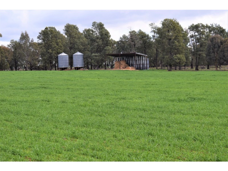 ‘Tallowood’ 231 Yankee Crossing Road, Henty NSW 2658