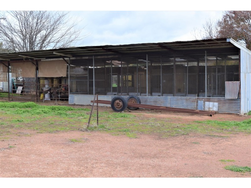 ‘Tallowood’ 231 Yankee Crossing Road, Henty NSW 2658