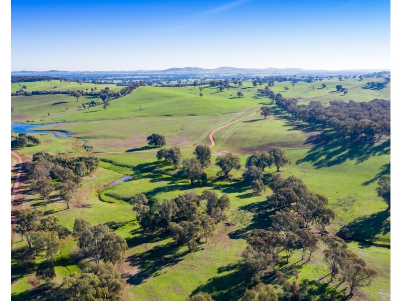 ‘Stonehaven’ 269 Stonehaven Road, Holbrook NSW 2644