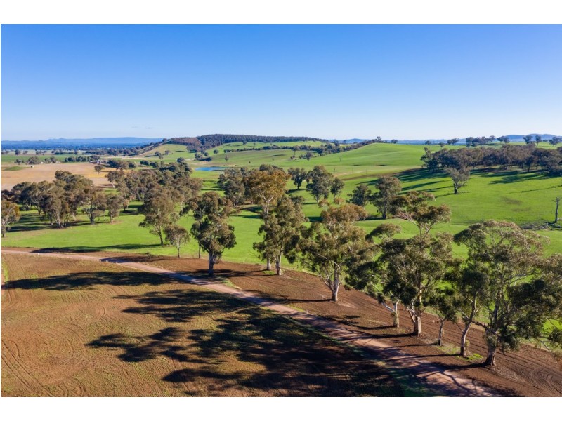 ‘Stonehaven’ 269 Stonehaven Road, Holbrook NSW 2644