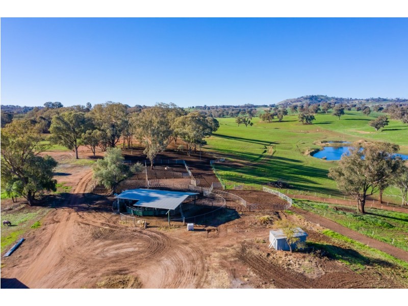 ‘Stonehaven’ 269 Stonehaven Road, Holbrook NSW 2644