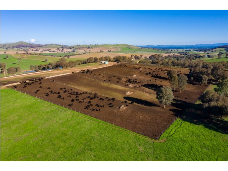 ‘Stonehaven’ 269 Stonehaven Road, Holbrook NSW 2644