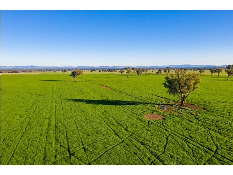 ‘Stonehaven’ 269 Stonehaven Road, Holbrook NSW 2644