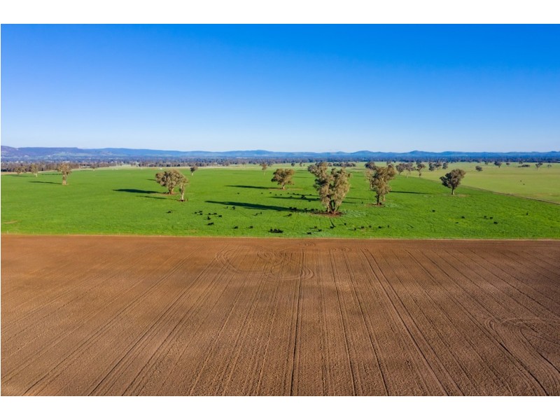 ‘Stonehaven’ 269 Stonehaven Road, Holbrook NSW 2644