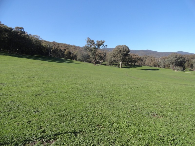 729 O’Neill Lane, Sandy Creek VIC 3695