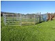 729 O’Neill Lane, Sandy Creek VIC 3695