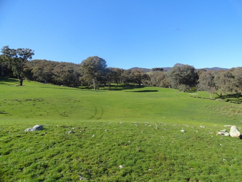 729 O’Neill Lane, Sandy Creek VIC 3695