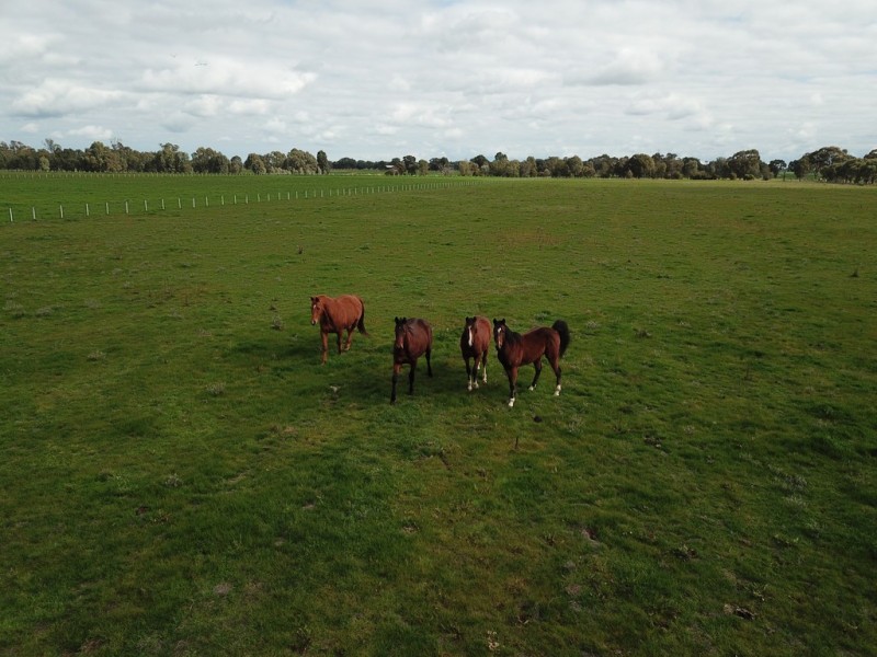 387 Peppertree Road, Tocumwal NSW 2714