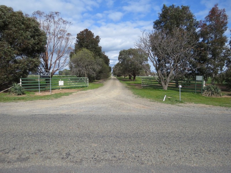 387 Peppertree Road, Tocumwal NSW 2714