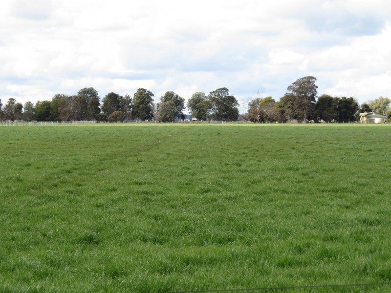 387 Peppertree Road, Tocumwal NSW 2714