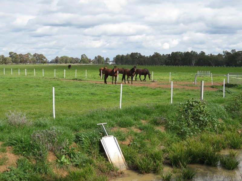 387 Peppertree Road, Tocumwal NSW 2714