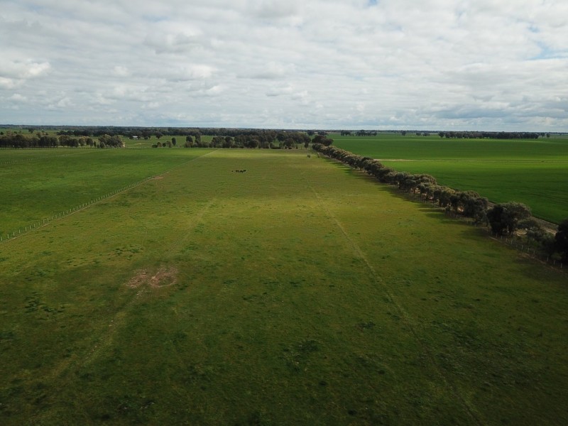 387 Peppertree Road, Tocumwal NSW 2714