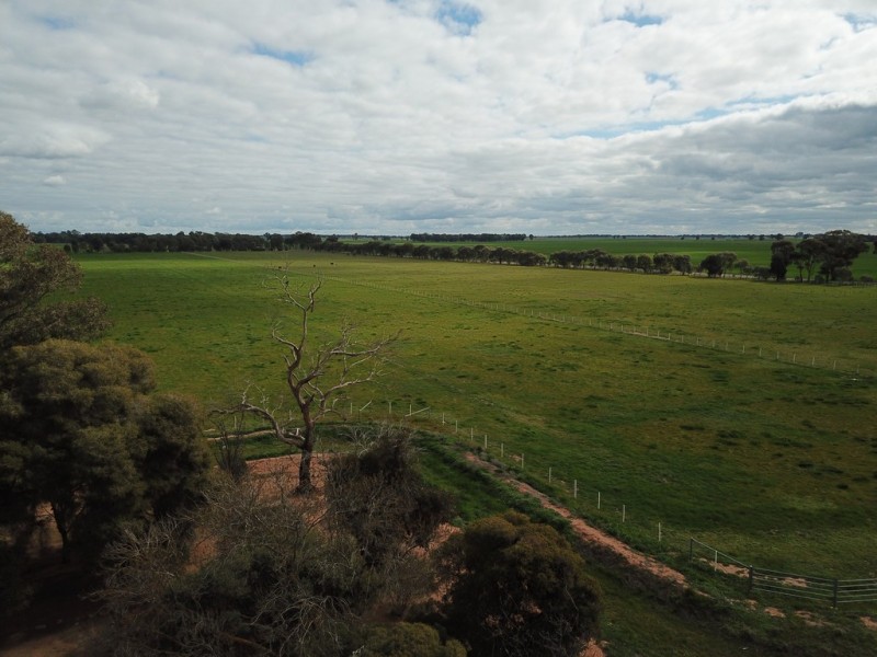 387 Peppertree Road, Tocumwal NSW 2714