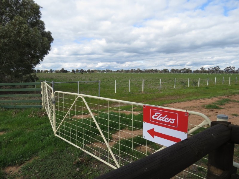 387 Peppertree Road, Tocumwal NSW 2714