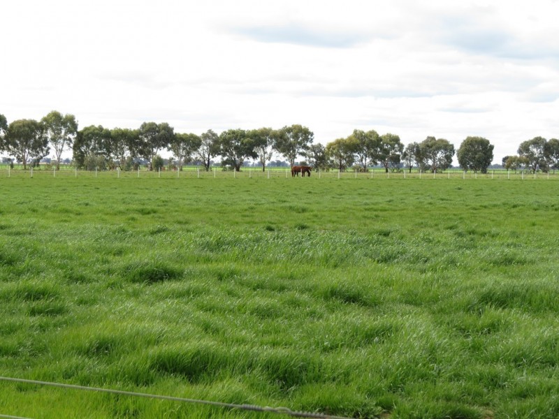 387 Peppertree Road, Tocumwal NSW 2714