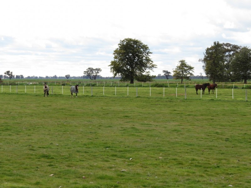 387 Peppertree Road, Tocumwal NSW 2714