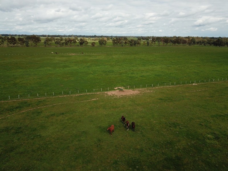 387 Peppertree Road, Tocumwal NSW 2714