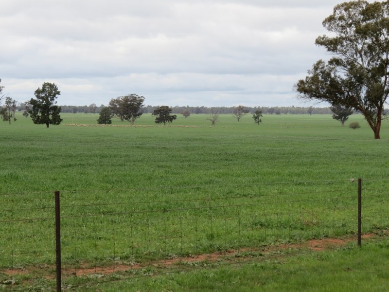 123 YARRAWONGA ROAD, Berrigan NSW 2712