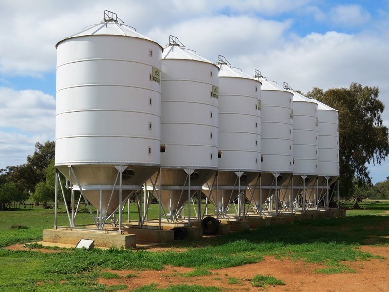 123 YARRAWONGA ROAD, Berrigan NSW 2712