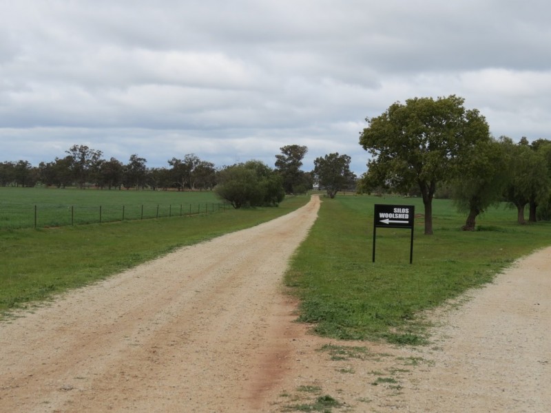 123 YARRAWONGA ROAD, Berrigan NSW 2712