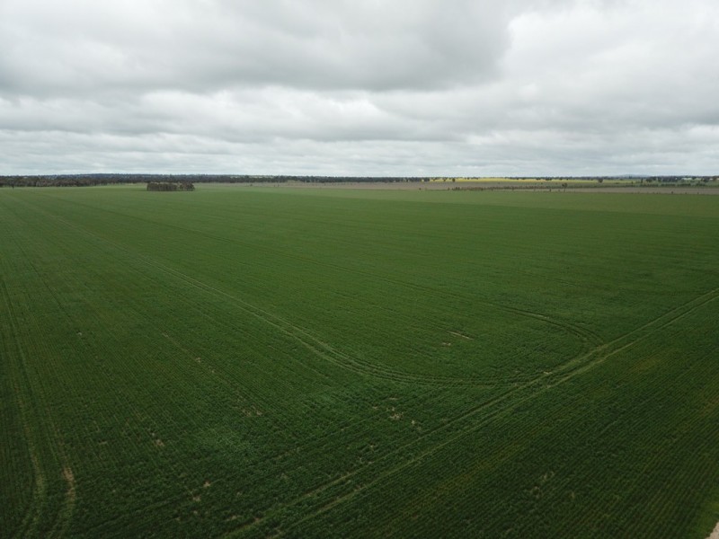 123 YARRAWONGA ROAD, Berrigan NSW 2712