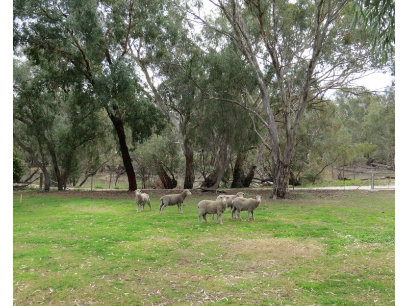 27 POWELL STREET, Jerilderie NSW 2716