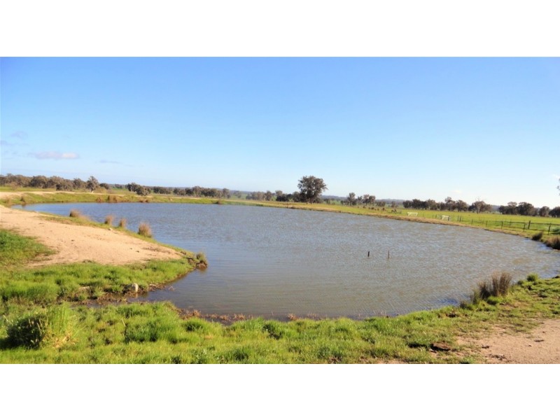 SPRING LAWN, GAYFER ROAD, Chiltern VIC 3683