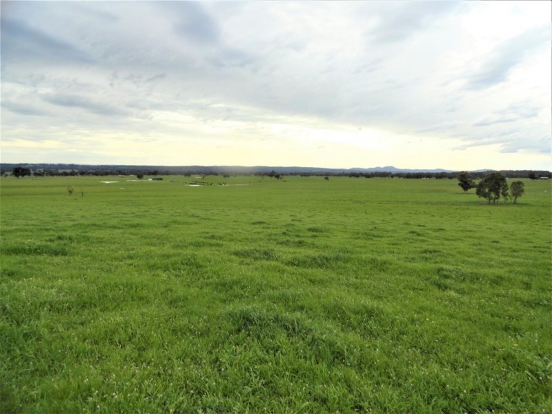 SPRING LAWN, GAYFER ROAD, Chiltern VIC 3683