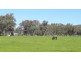 216 Settlers Road, Chiltern VIC 3683