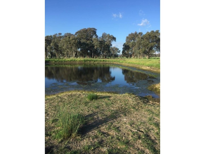 216 Settlers Road, Chiltern VIC 3683