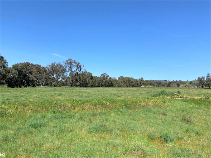 24 Boundary Road, Thurgoona NSW 2640