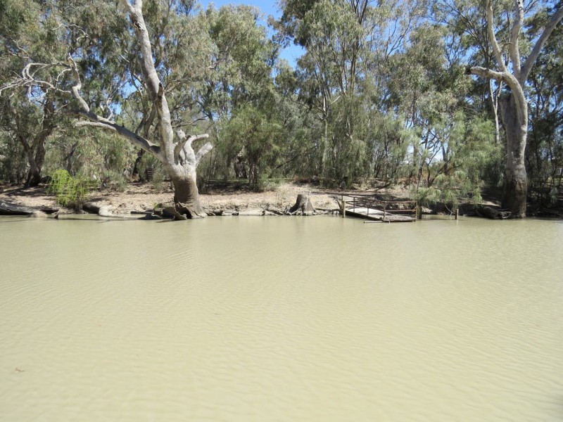 25 CARRATHOOL ROAD, Conargo NSW 2710