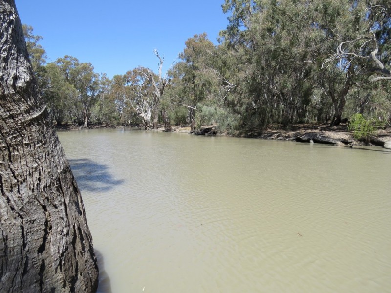 25 CARRATHOOL ROAD, Conargo NSW 2710