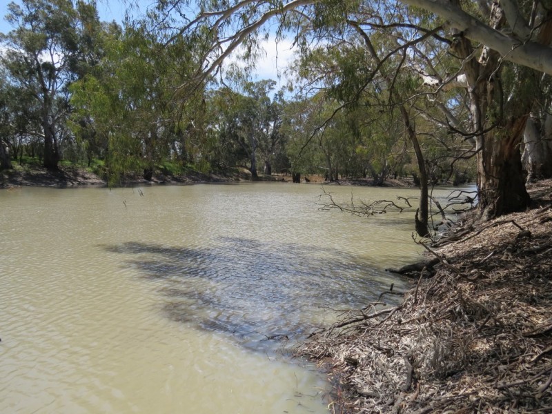 25 CARRATHOOL ROAD, Conargo NSW 2710