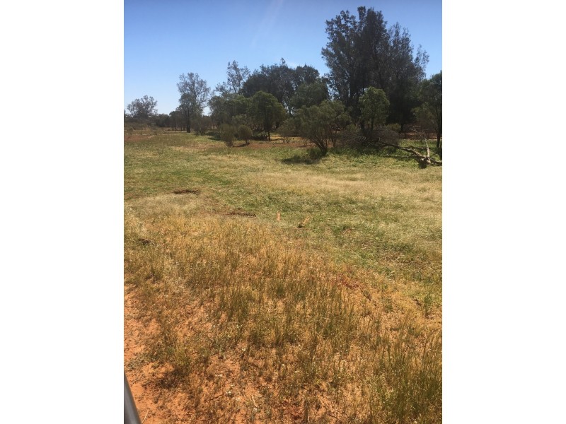 - KOONABURRA STATION, Ivanhoe NSW 2878