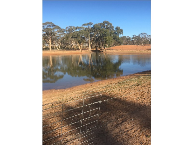  KOONABURRA STATION, Ivanhoe NSW 2878 Elders Real Estate Albury