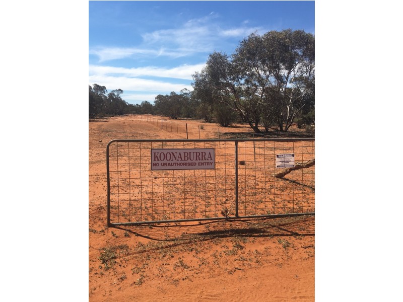 KOONABURRA STATION, Ivanhoe NSW 2878 Elders Real Estate Albury