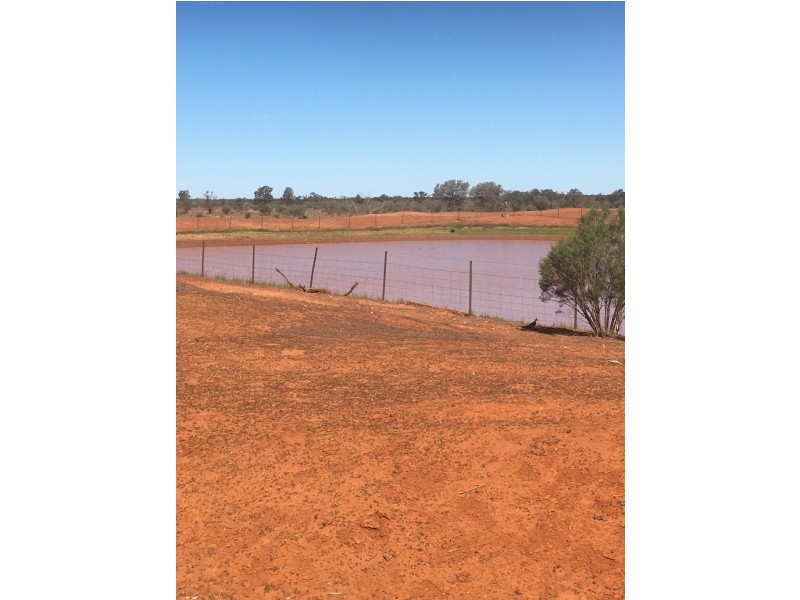 - KOONABURRA STATION, Ivanhoe NSW 2878