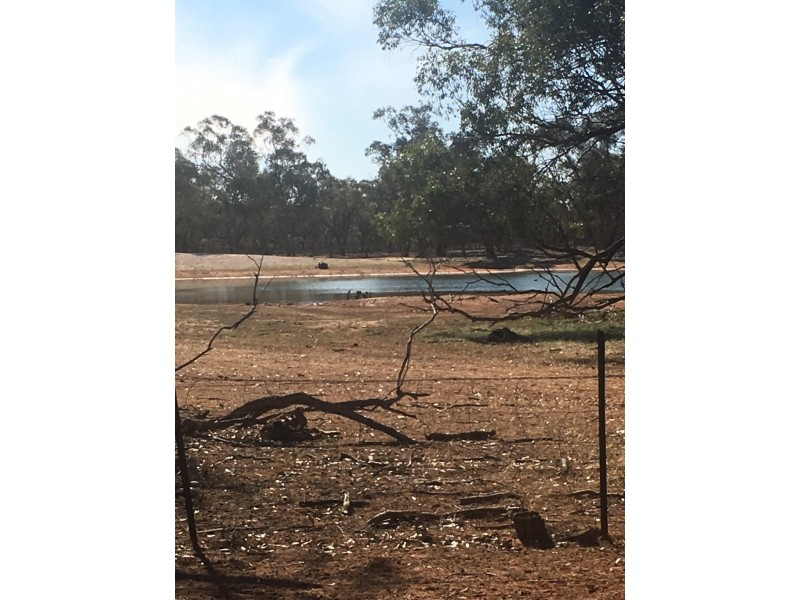  KOONABURRA STATION, Ivanhoe NSW 2878 Elders Real Estate Albury