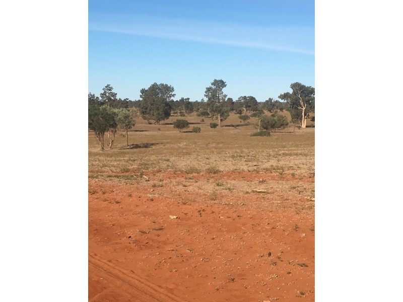 - KOONABURRA STATION, Ivanhoe NSW 2878