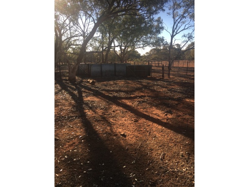 - KOONABURRA STATION, Ivanhoe NSW 2878