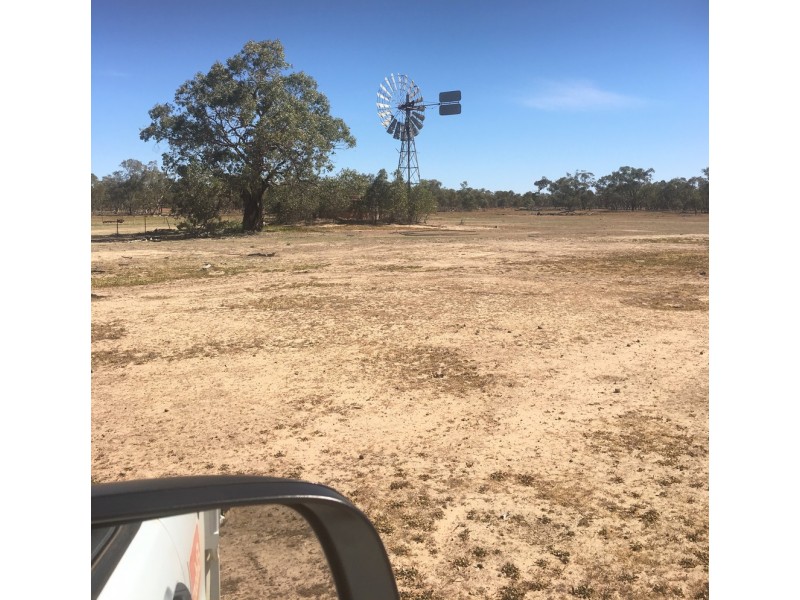 - KOONABURRA STATION, Ivanhoe NSW 2878