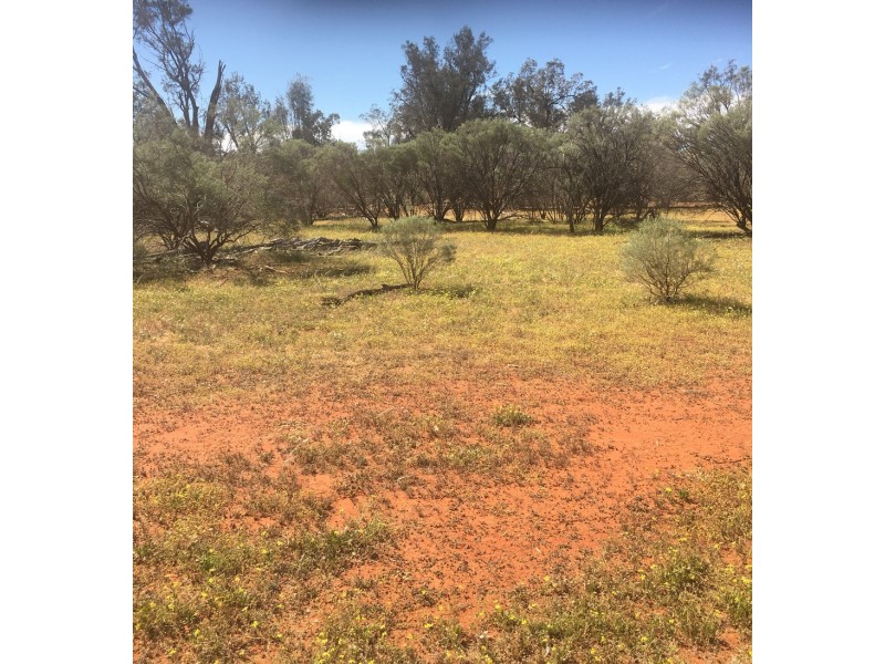 - KOONABURRA STATION, Ivanhoe NSW 2878