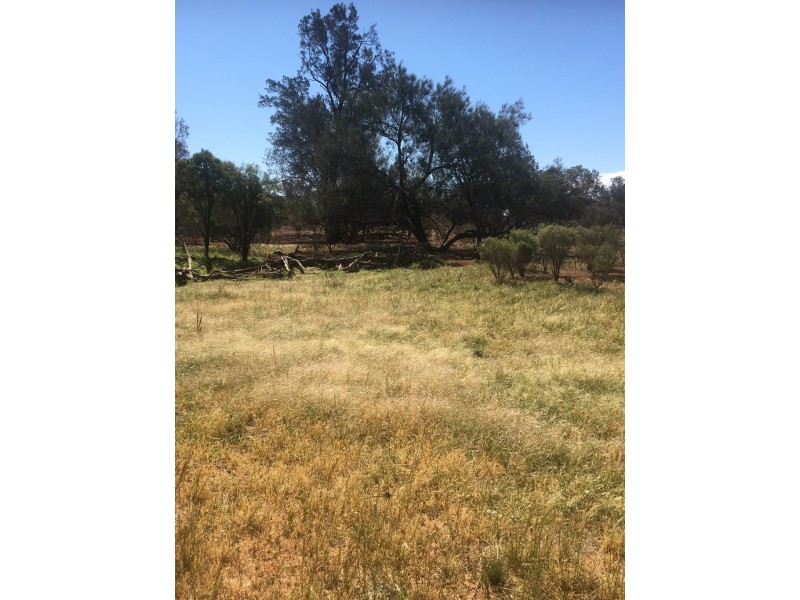 - KOONABURRA STATION, Ivanhoe NSW 2878